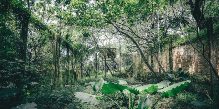 Spatial Cemetery: A Journey Beneath the Surface of Hidden Hong Kong - Image 15