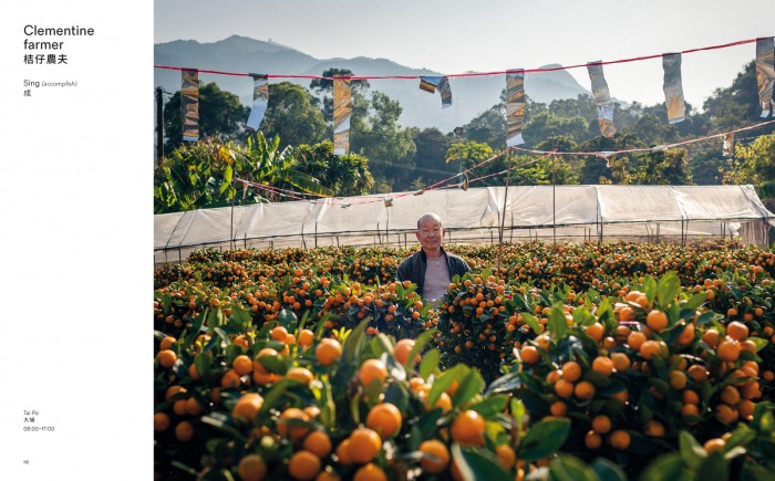 Sample pages from book: Hong Kong Shifts